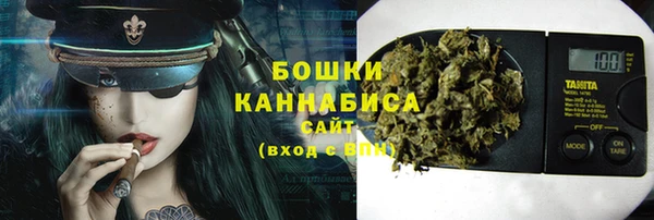 спайс Богданович
