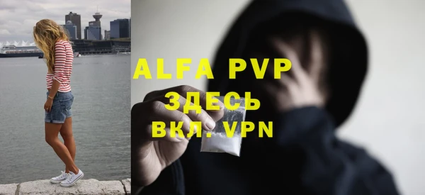 спайс Богданович