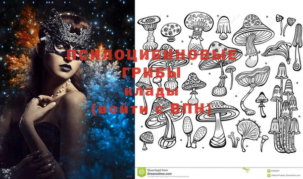 спайс Богданович