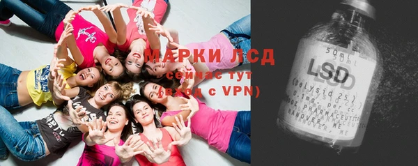 спайс Богданович