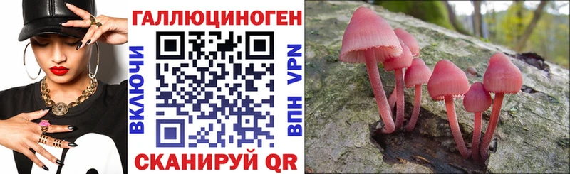Псилоцибиновые грибы мухоморы закладки Невельск